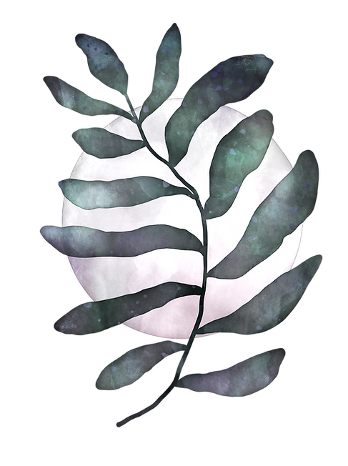 leaves and moon photo