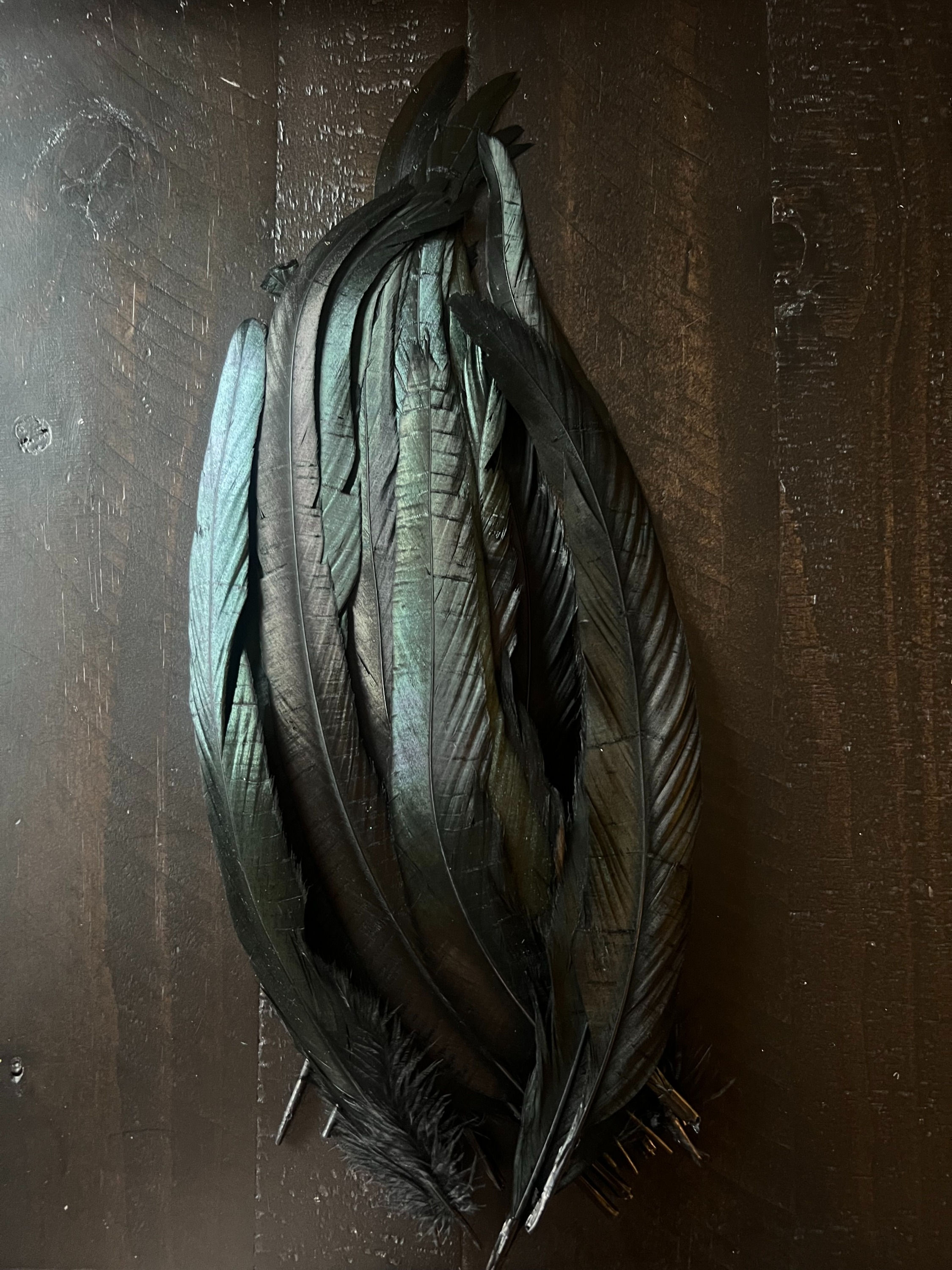 Rooster Feather - Long Drape 12-14"