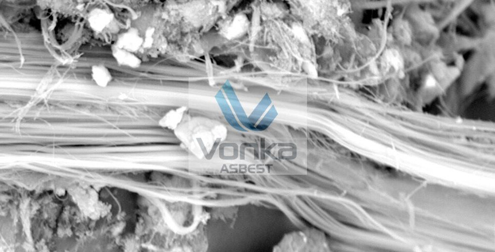 Asbest, maske, akar, fosil, polen ve bazı malzemelerin SEM görüntüsü