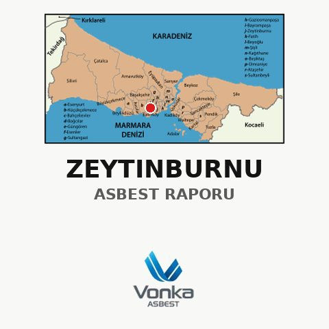 Zeytinburnu Asbest Raporu 1 Günde Teslim