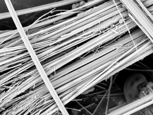 Yanmaz Eldivenleri Araştırıyoruz