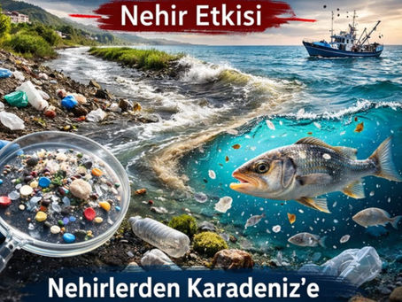 Karadeniz'de Mikroplastik Tehlikesi