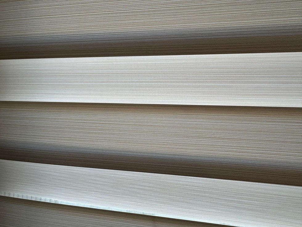 Zebra Shade close view of fabric in North Texas