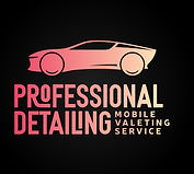 Image of Professional Detailing MVS