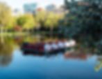 Swan Boats