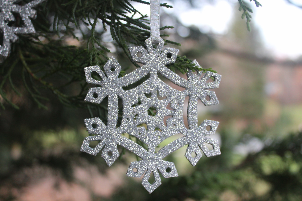 Thumbnail: Glitter Snowflake Ornaments