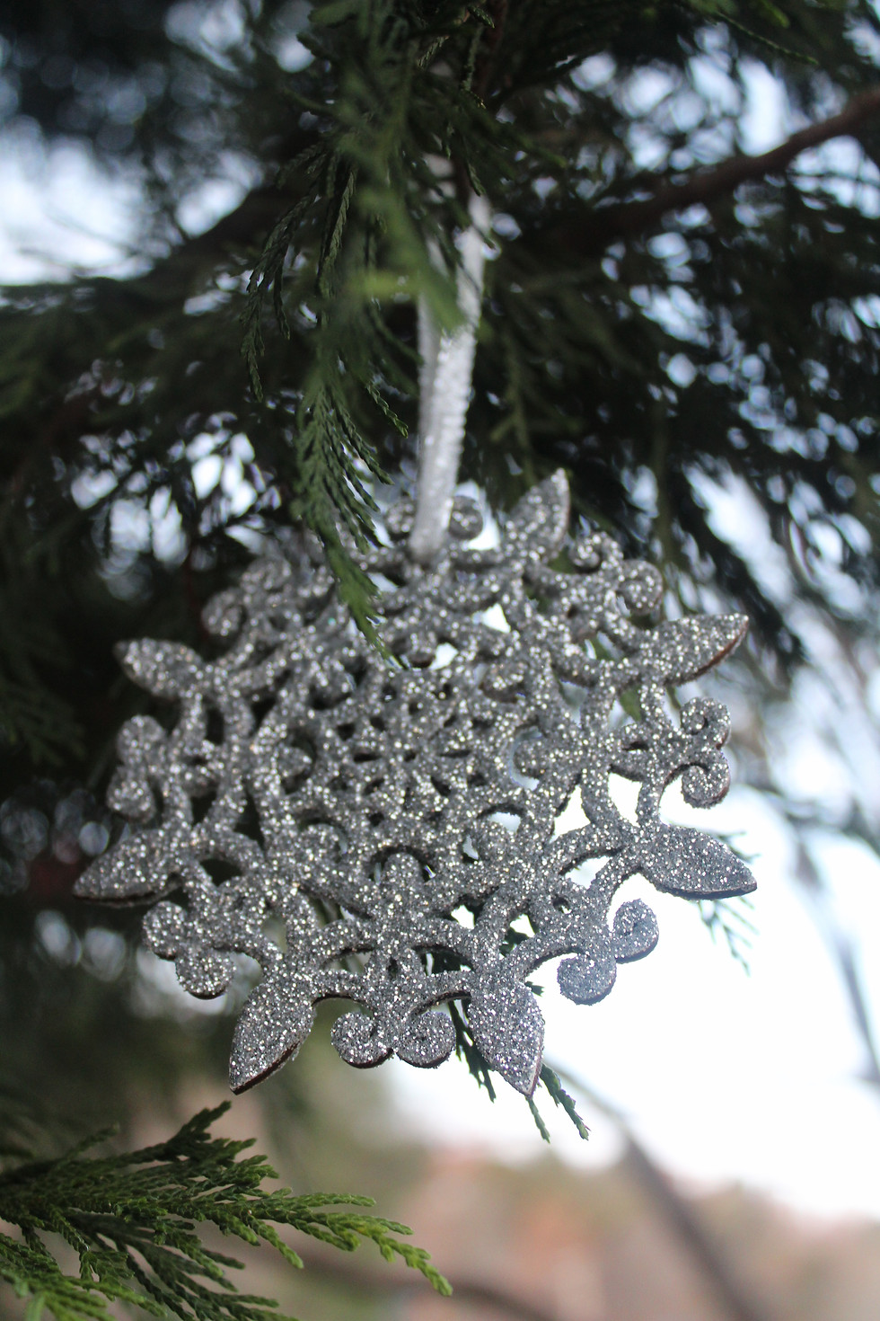 Thumbnail: Glitter Snowflake Ornaments