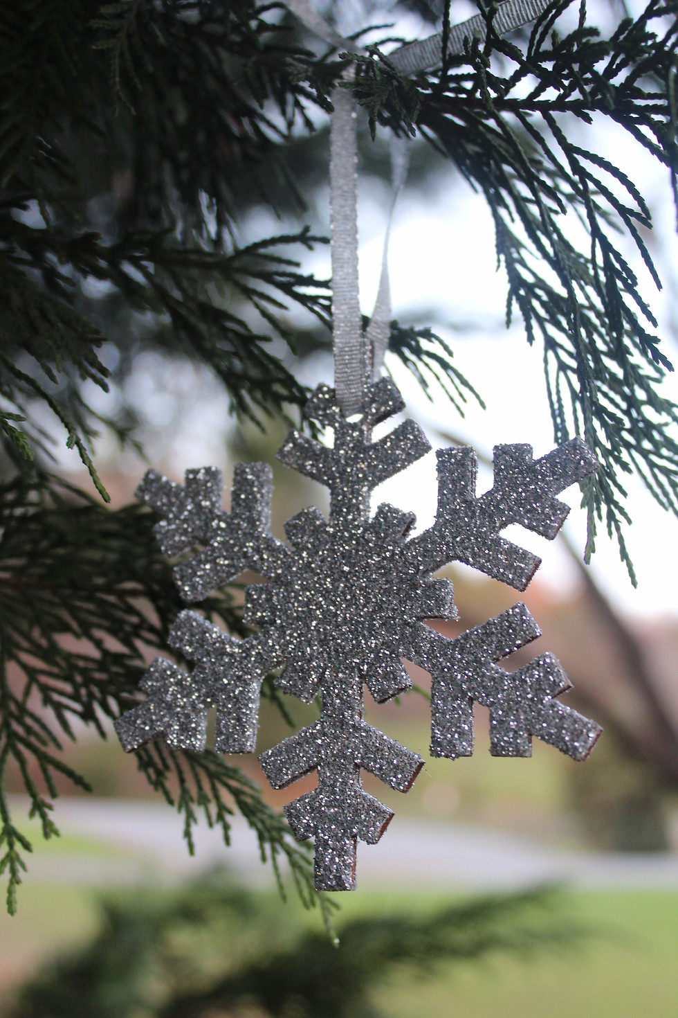 Thumbnail: Glitter Snowflake Ornaments