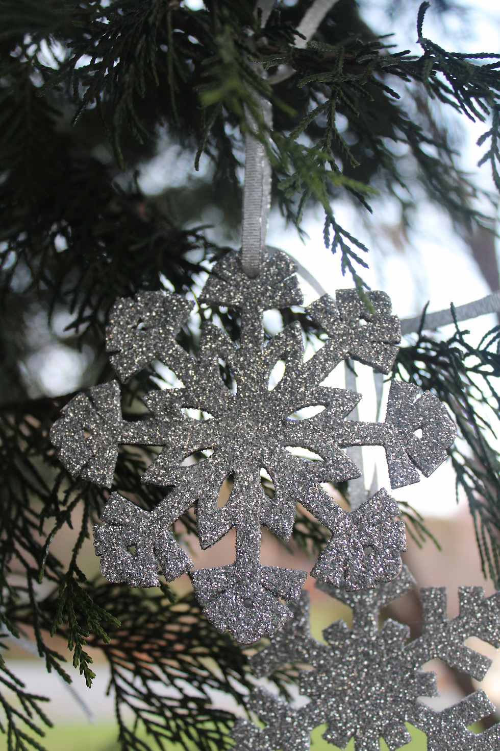 Thumbnail: Glitter Snowflake Ornaments