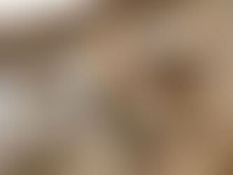 カメリアブローチアクセサリーコースのについて/レッスンのあとのお楽しみ