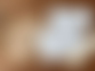 フラデコレの活動