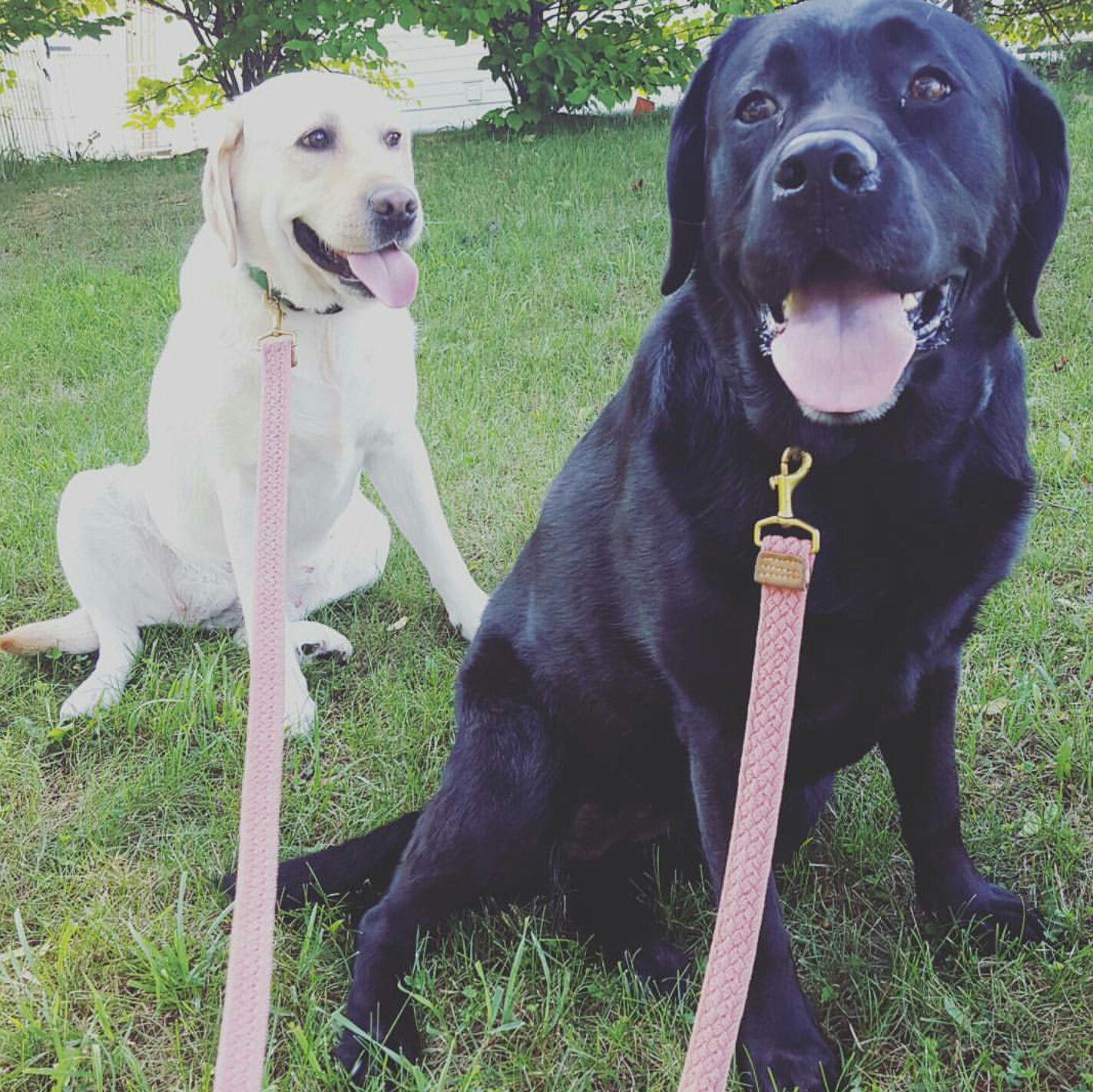 ROXY & VALERIE