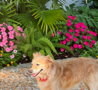 Oakleigh absolutely loves daycare! From playing with her friends to soaking up the sunshine, she makes the most of very minute. She's always excited to see her favorite friends, ready to play, and full of happy energy all day long!
We love having Oakleigh with us and watching her enjoy every daycare adventure!