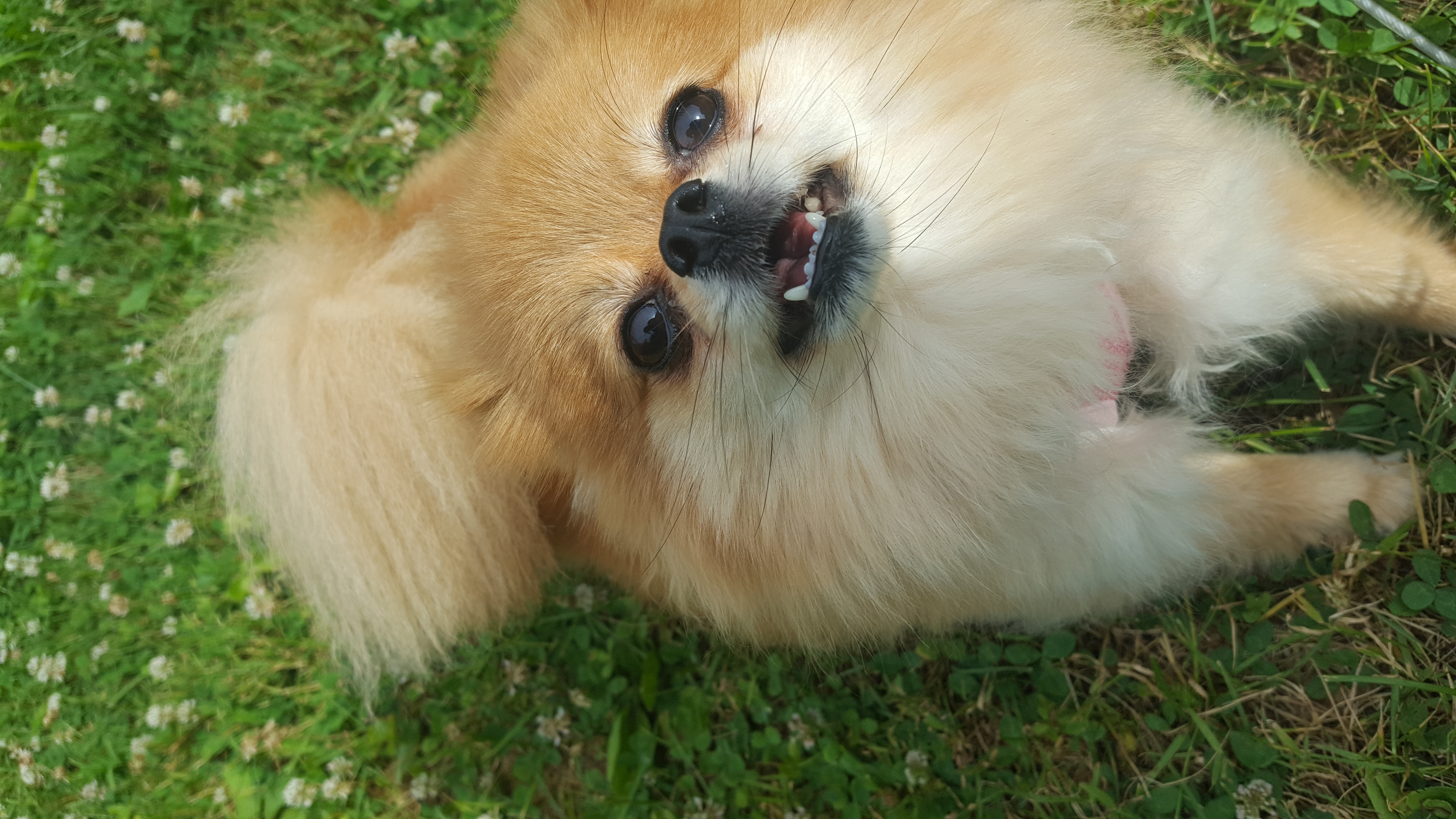 LUCY