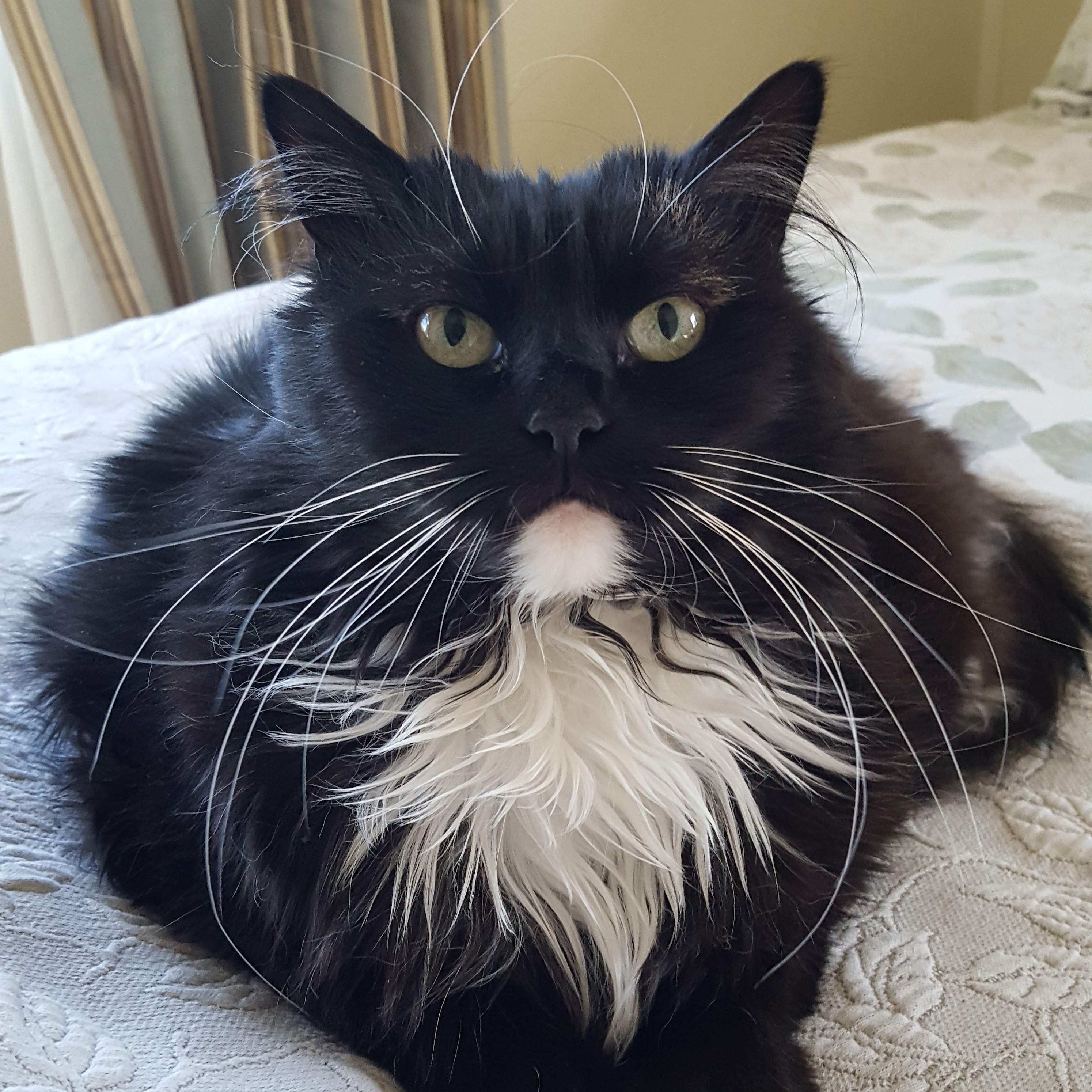 MINNIE