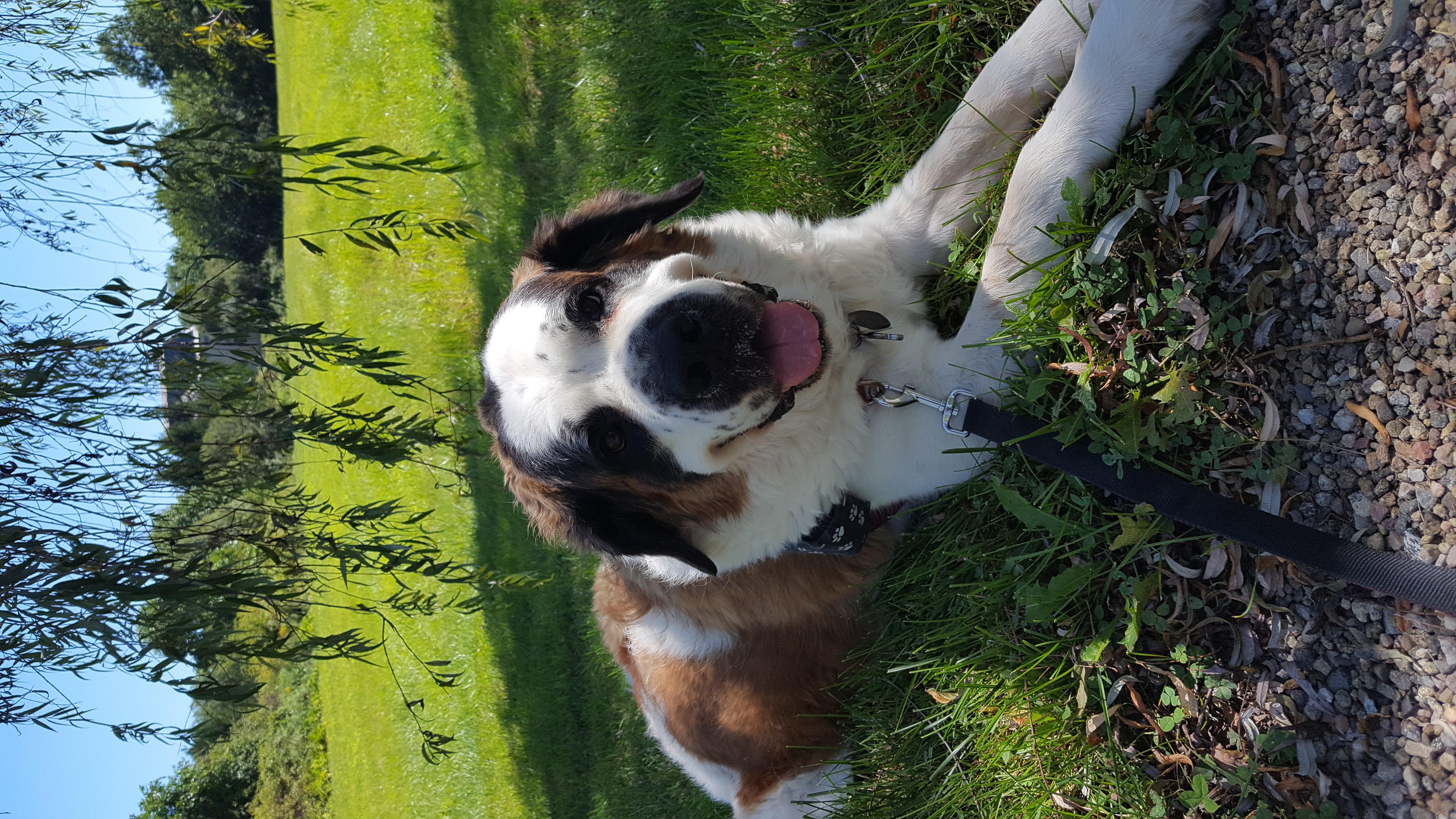 MOLLY