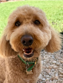 Coco loves seeing her friends at daycare