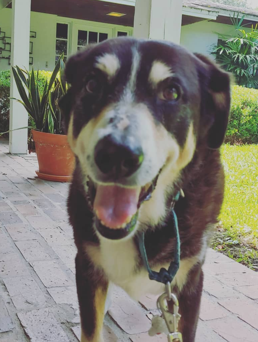 GINA