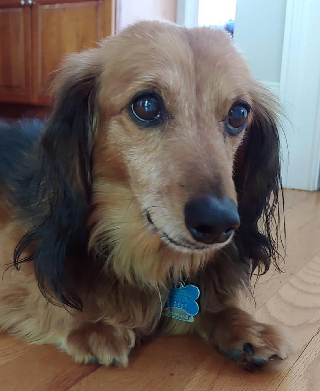 CHESTER