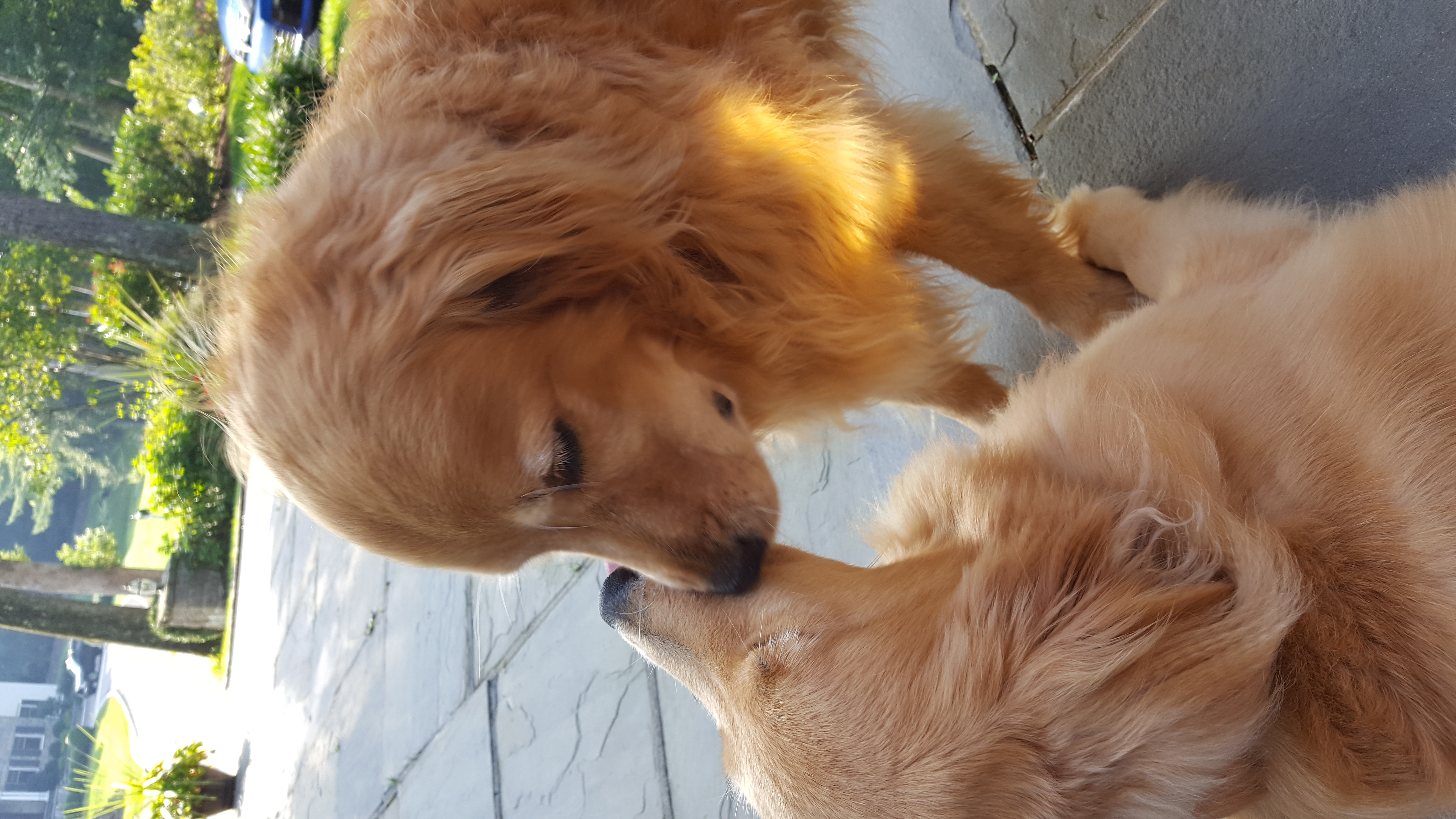 SOPHIE & DELILA