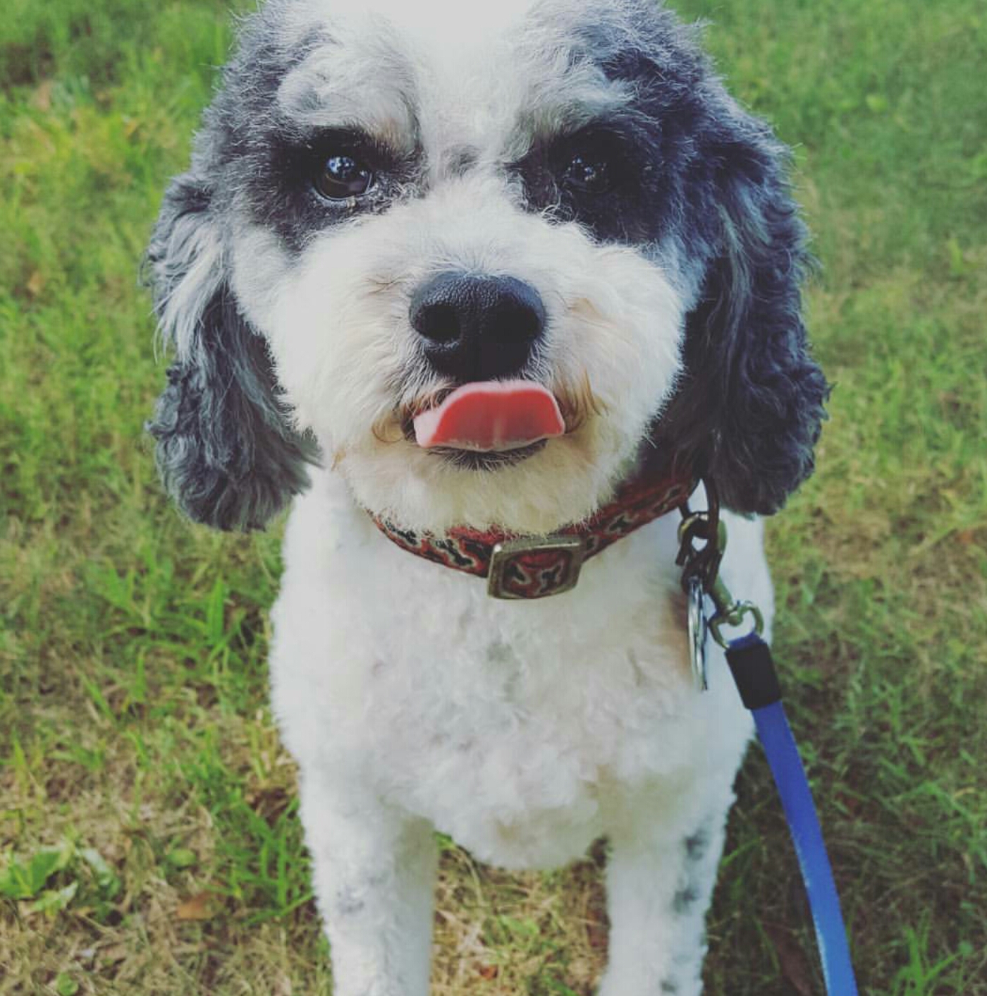 OREO