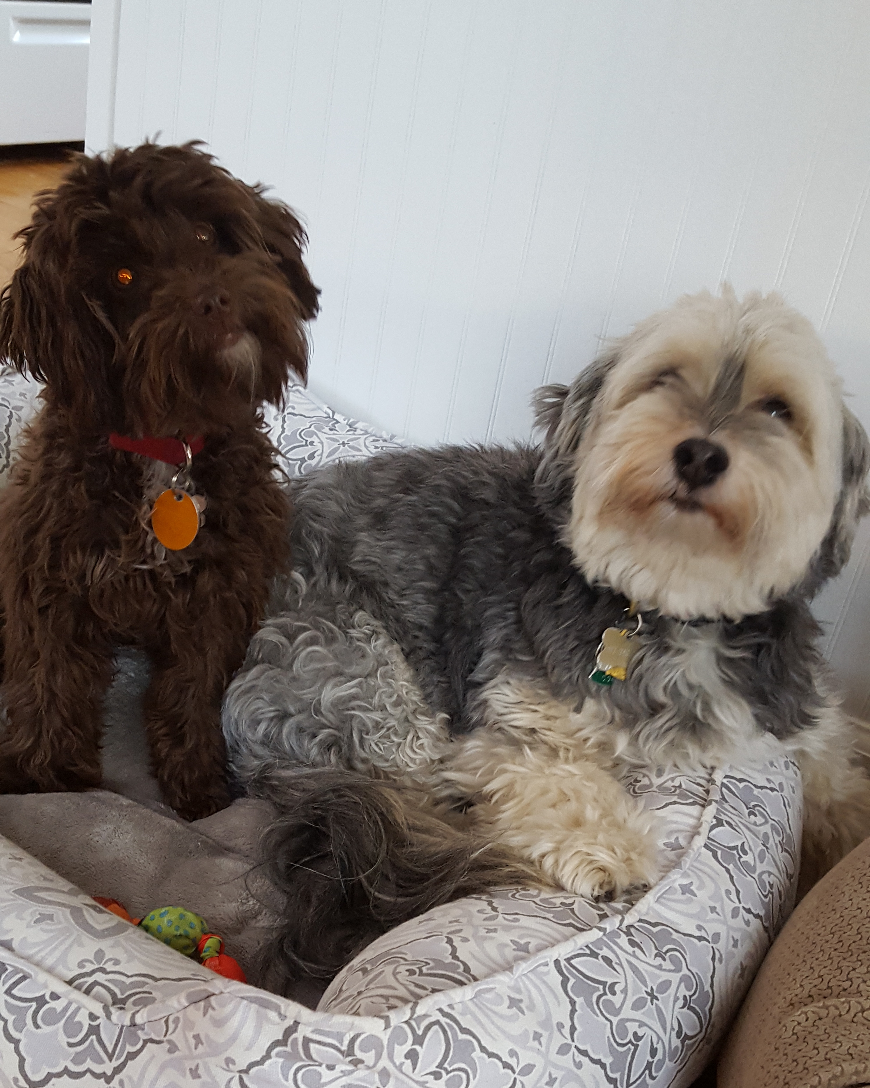 FREDDY & ELLA