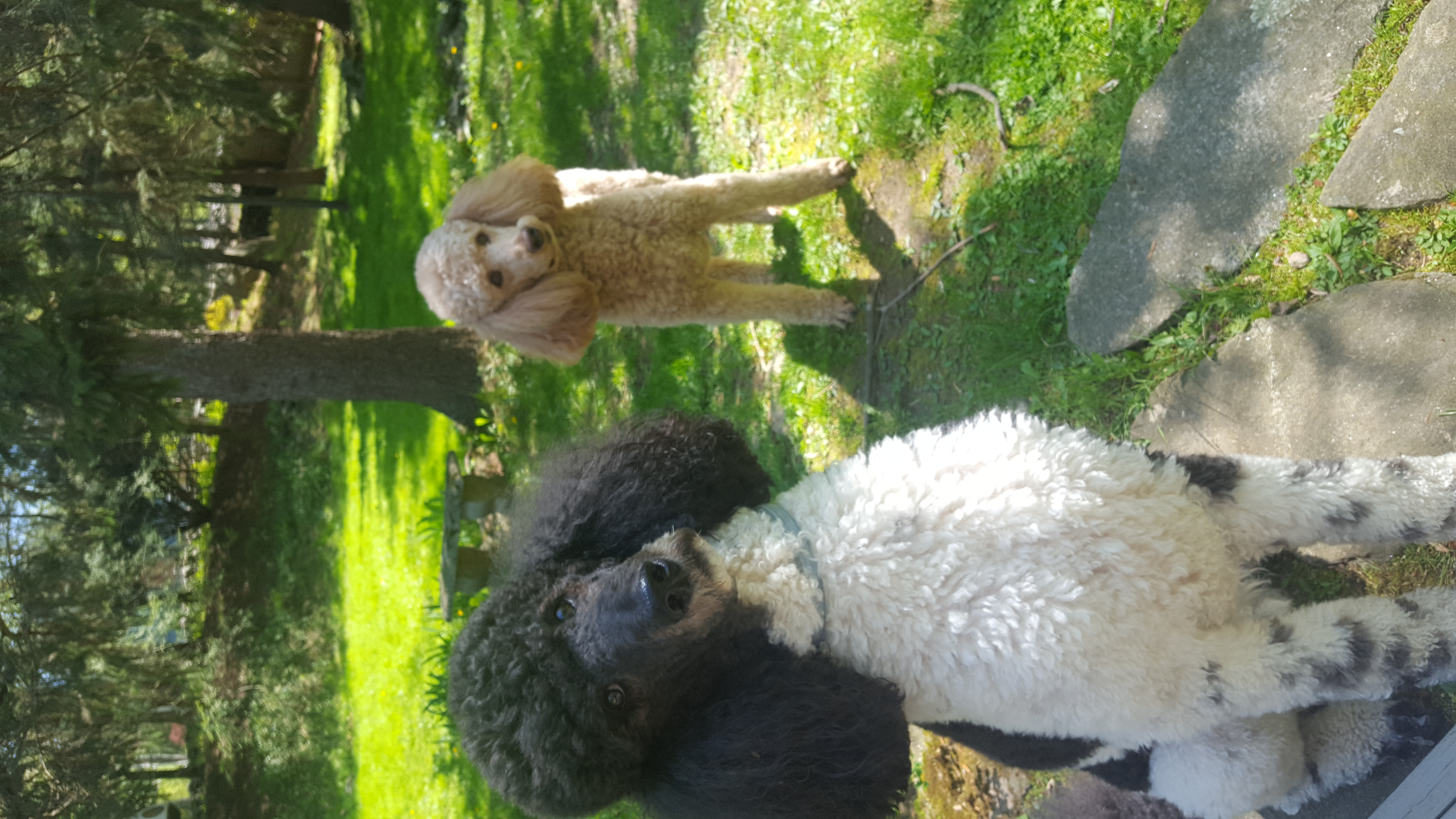 EDITH & TEDDY