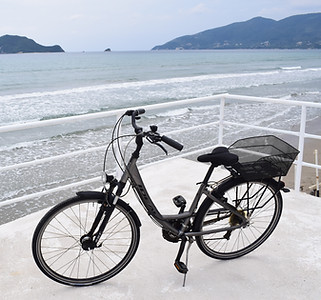 IDEAL city bike