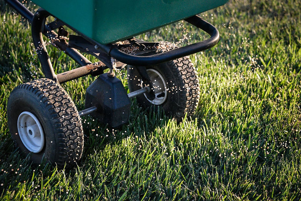 All-Purpose Lawn Mixture