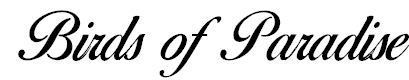 Fontes Gratuitas