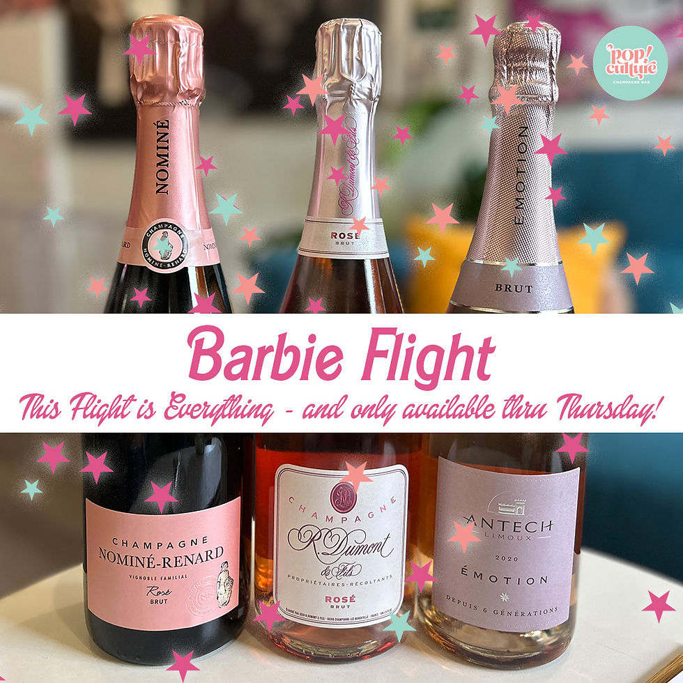 Limited Time Only! Barbie Flight