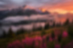imgi_1_hero-alaska-DCynKSK1.jpg