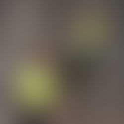 A Practical Approach for Testing New Equipment and Techniques