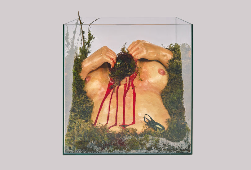 Parasitoid, 2025