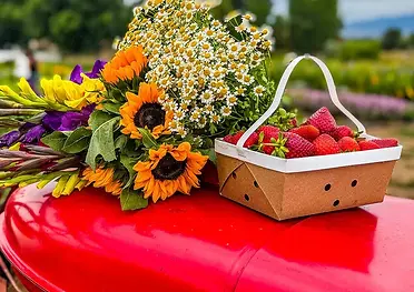 garden sweet.webp
