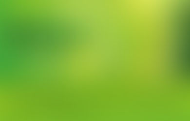 寶路煙彈 常見口味詳細介紹