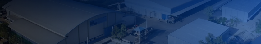 บริษัท เดอะ ฟีนิกซ์ 99 จำกัด (4).png