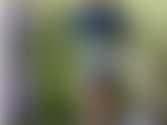 How Roaming Event Photography and User-Generated Content Help Taxi Companies Launch in New Areas