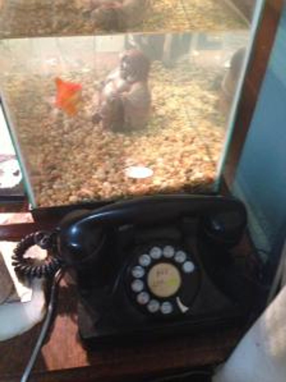 rotary phone