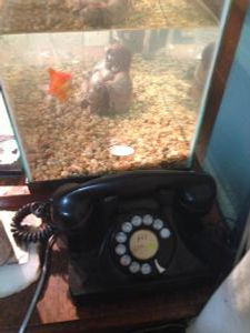 rotary phone