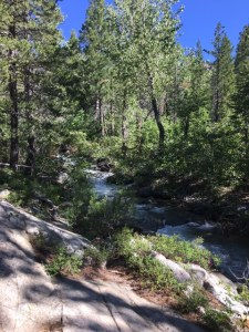 Page Vs. Stage / Us vs. Them (or Don’t Cross Streams)