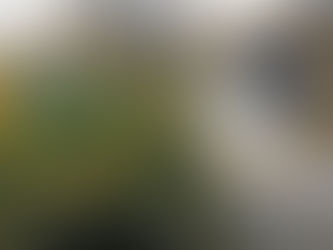 Quarantine Journal (Deleted Scenes)