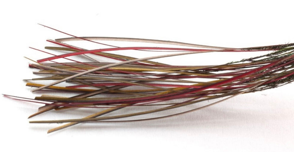 Thumbnail: Troutline Selected Stripped Peacock Quill