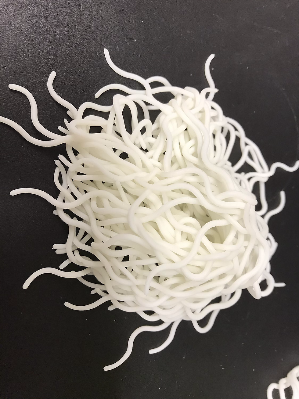 Thumbnail: Squirmy Worm Fly Tying Rubber x 30 strands