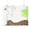 Thumbnail: Poster Print Matte Watercolor Fine Art