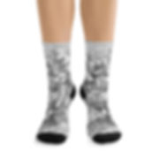 James Wines "Marquis de Sade Birthday Party" socks