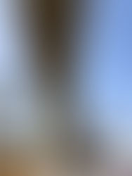 Working Columns