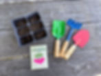 Sowing Seeds Activity