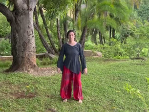 Qi Gong - vidéos d'aide à la pratique