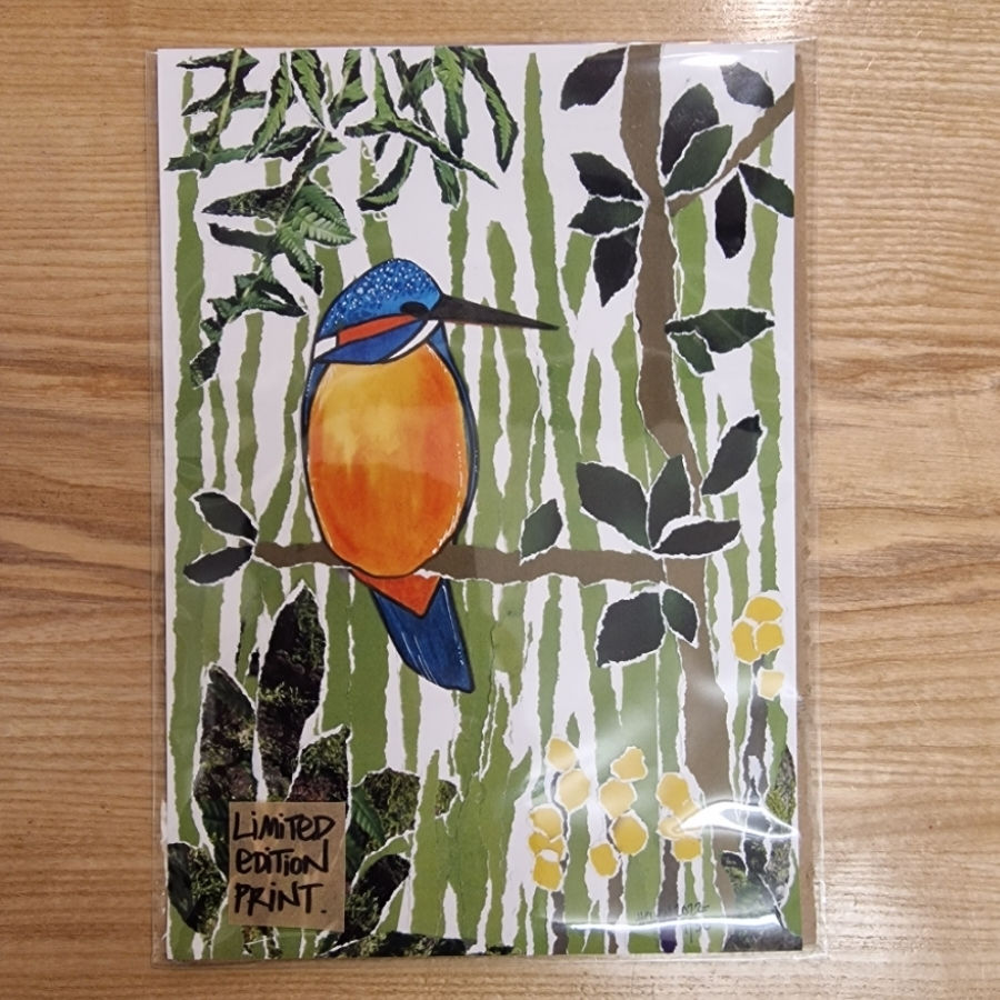 Kingfisher Print A4